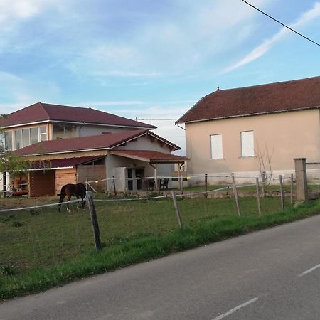 Maison De 100M2 Au Coeur D'Une Pension Equestre Les Sabots De Nina Marcollin Luaran gambar